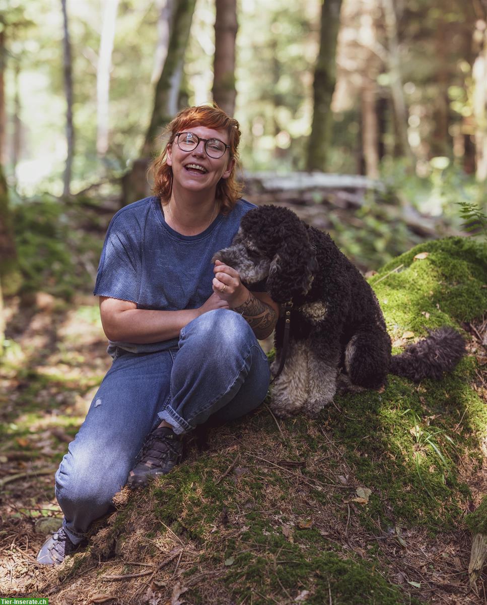 Bild 5: Bieten Hundebetreuung - Natürlich, umfassend und liebevoll