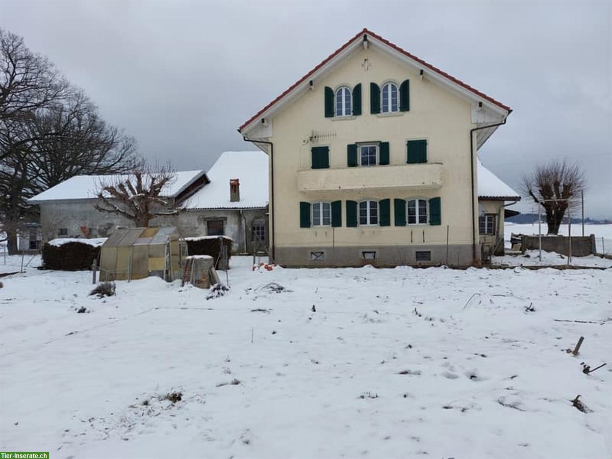6 Zimmer Haus mit Land und Ställe zu vermieten