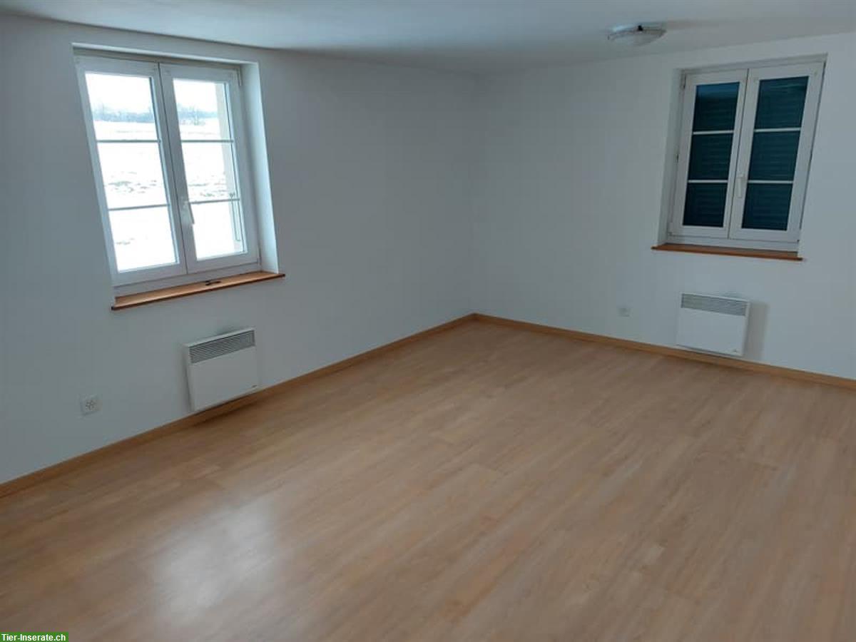 Bild 3: 6 Zimmer Haus mit Land und Ställe zu vermieten