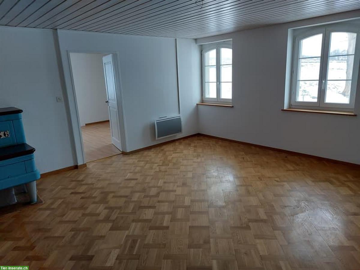 Bild 4: 6 Zimmer Haus mit Land und Ställe zu vermieten