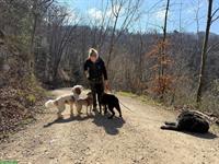 Gassiservice / Spazierdienst / Dogwalking mit Herz❤️ Baselland