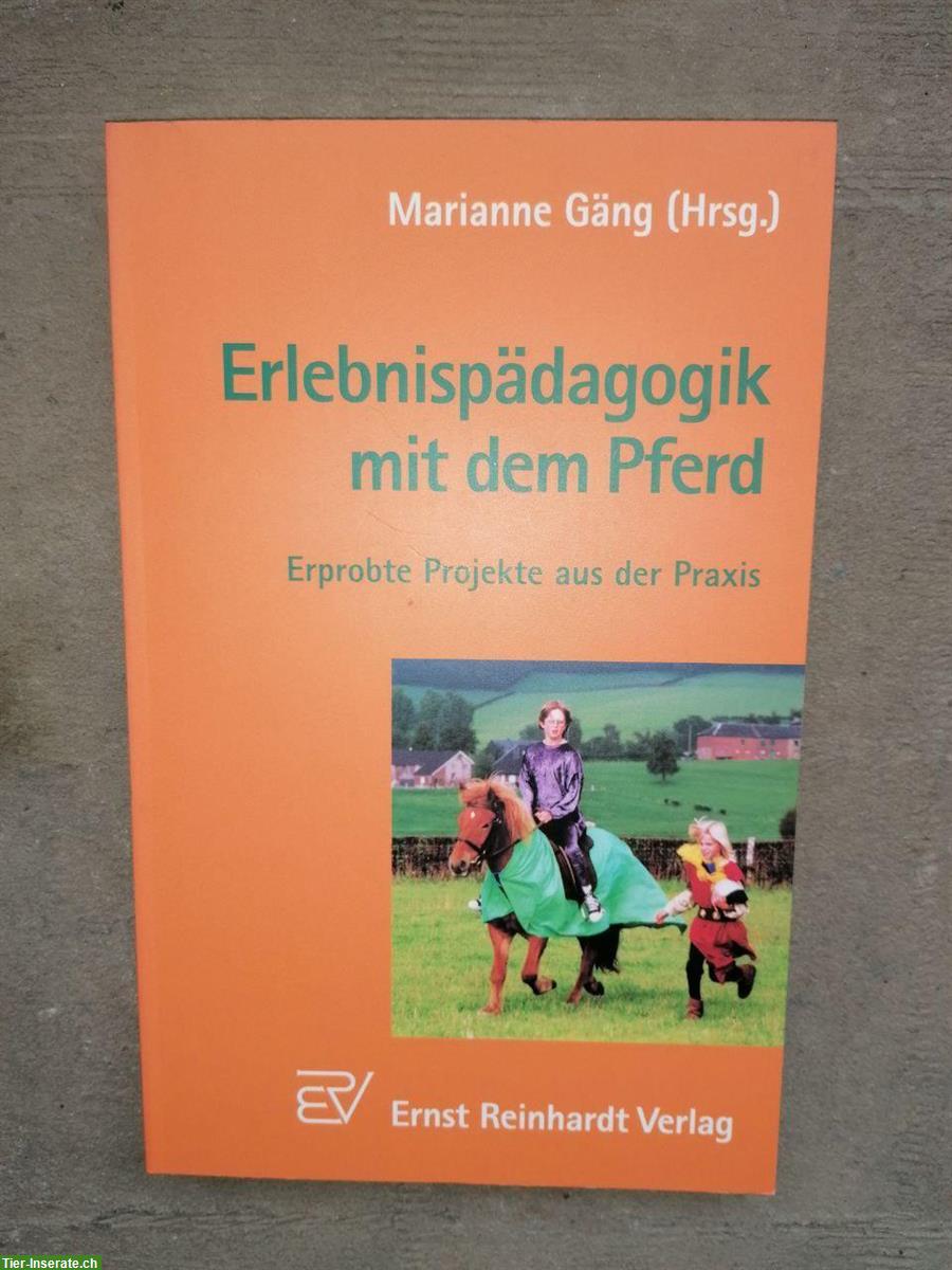 Bild 2: 3 Pferdebücher zu Therapeutisches Reiten...