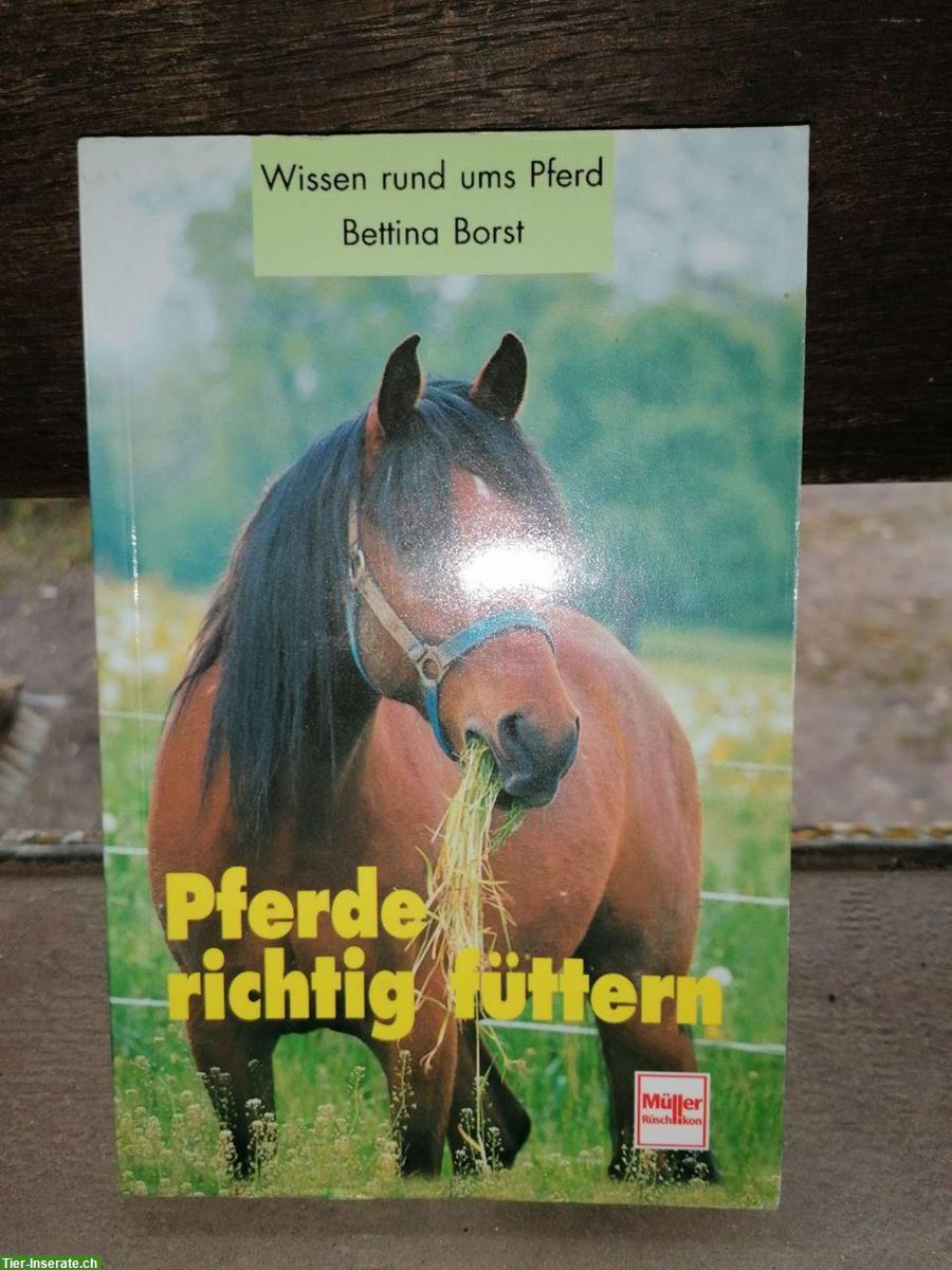 Bild 6: 6 Pferdebücher zu Praxiswissen und Haltung Pferde