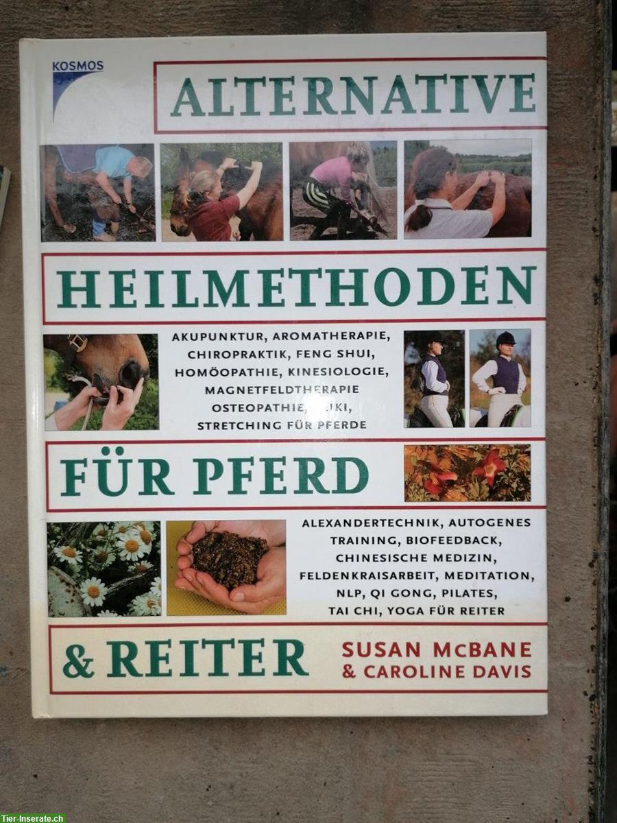 9 Pferdebücher zu Medizinisches und Gesundheit