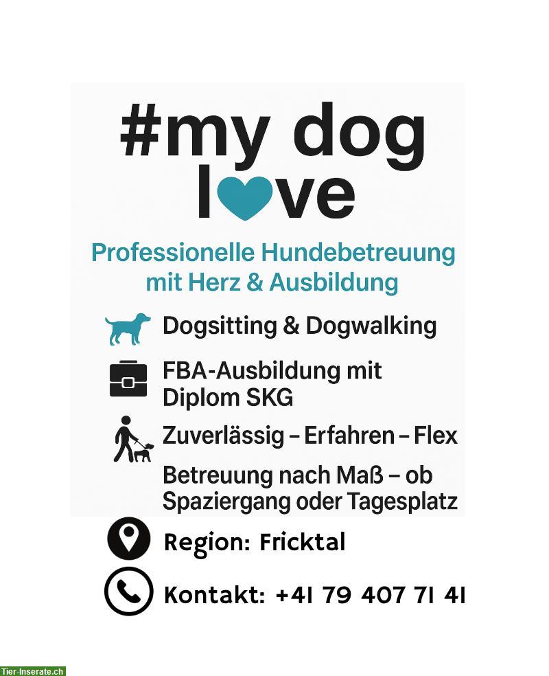 #my dog love: Professionelle Hundebetreuung mit Herz & Ausbildung
