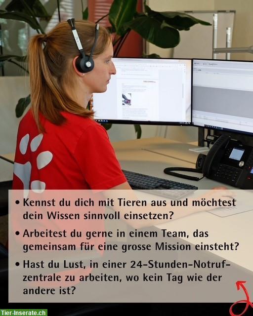 Suchen Disponent:in Einsatzzentrale 100% | Stiftung TierRettungsDienst