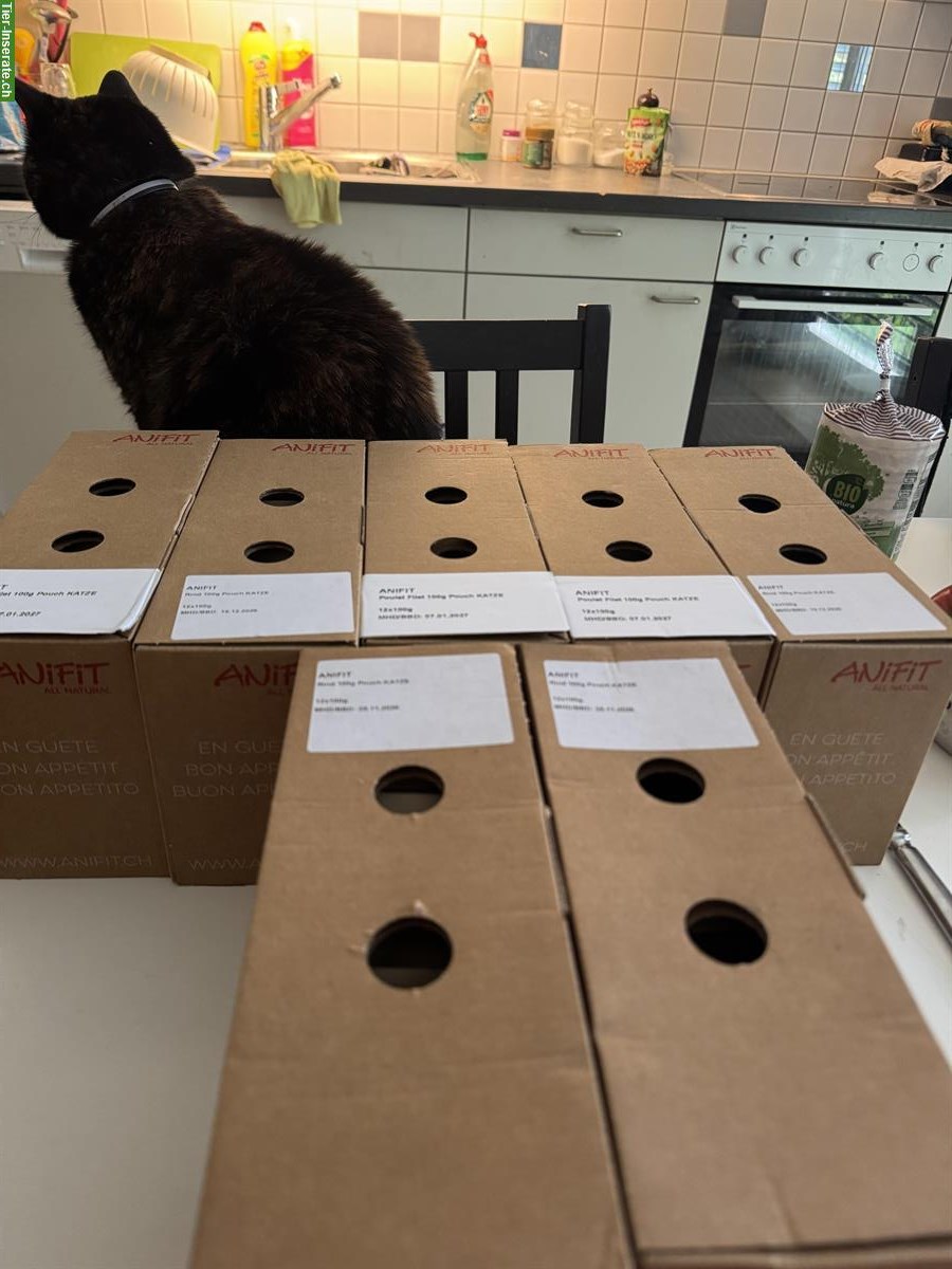 Bild 4: Hochwertiges ANIFIT Katzenfutter zu verkaufen