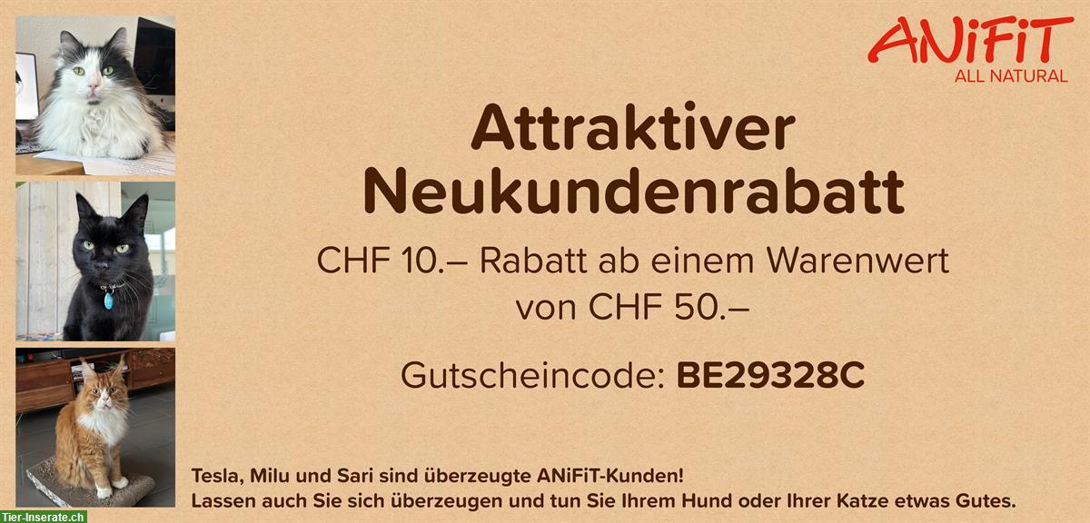 ANiFiT gesundes Katzen- & Hundefutter mit CHF 10.- Rabatt ausprobieren