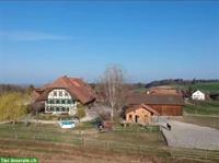 Pferdebox mit Auslauf in Oberried bei Niederscherli