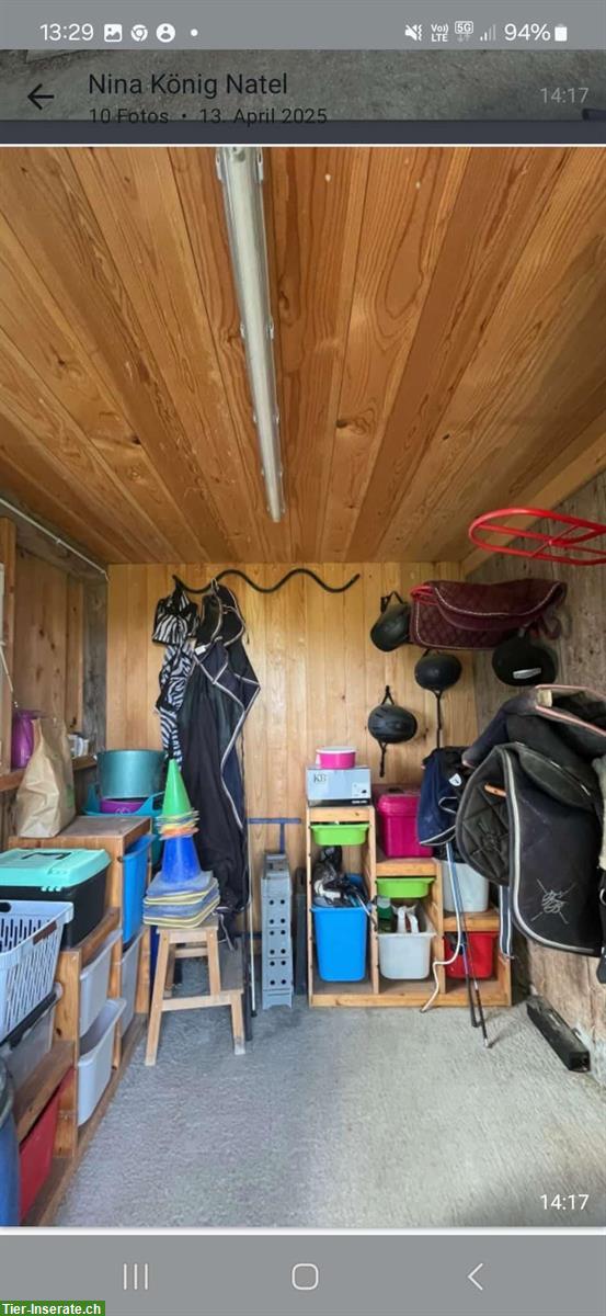 Bild 4: Pferdebox mit Auslauf in Oberried bei Niederscherli