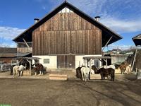 Offenstall Platz frei auf Bauernhof in Hauptikon ZH