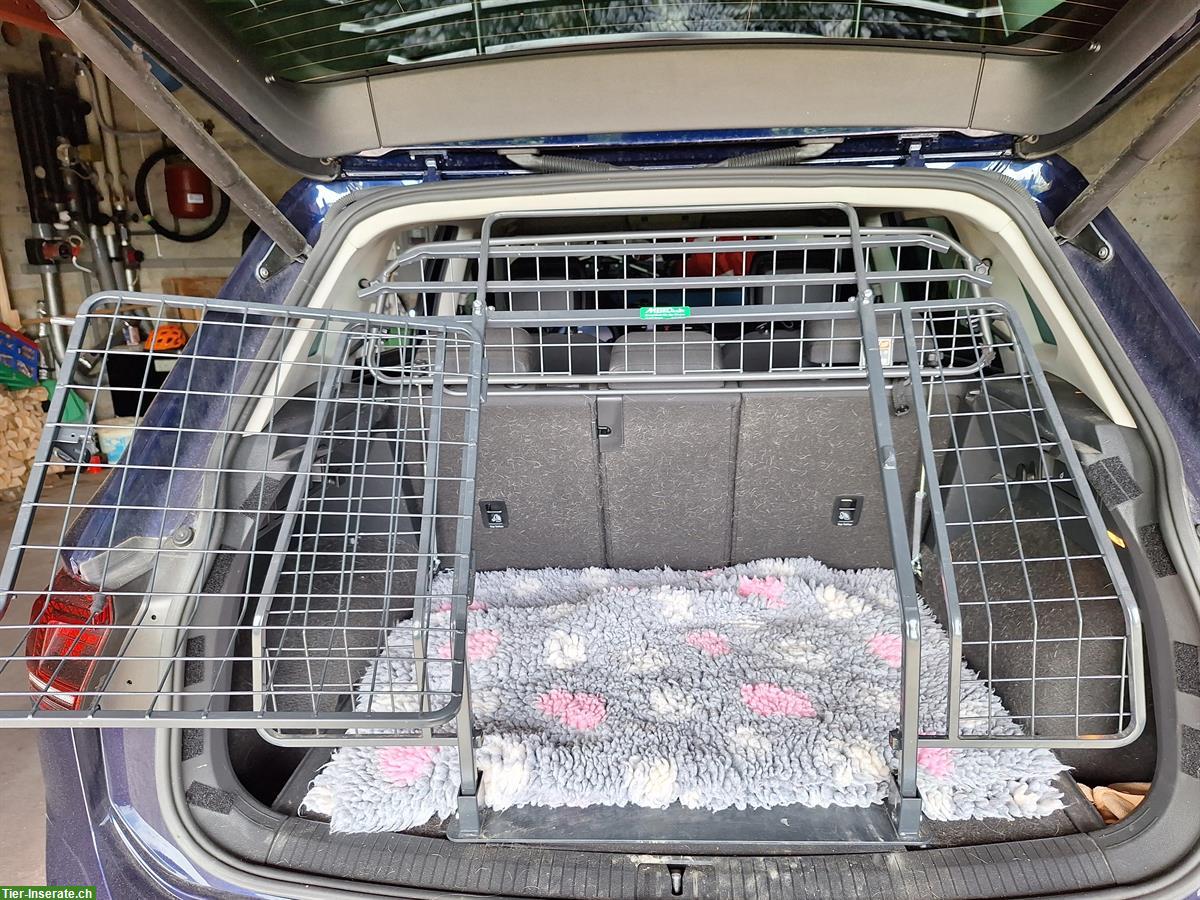 Bild 2: Meiko Heckgitter-Türe schräg, Auto VW Tiguan