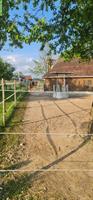 Platz In Gruppen-Offenstall in St. Pantaleon SO