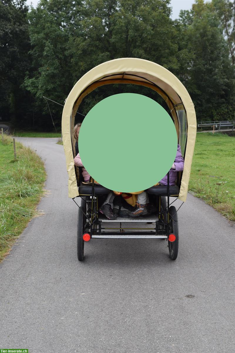 Bild 2: Planwagen für Ponys zu verkaufen