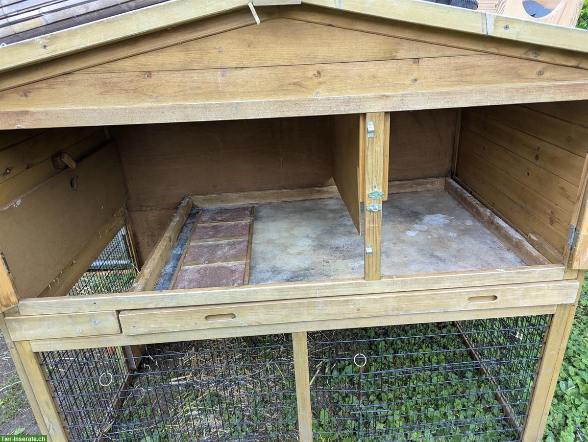 Bild 3: GRATIS: Meerschweinchenstall zu verschenken