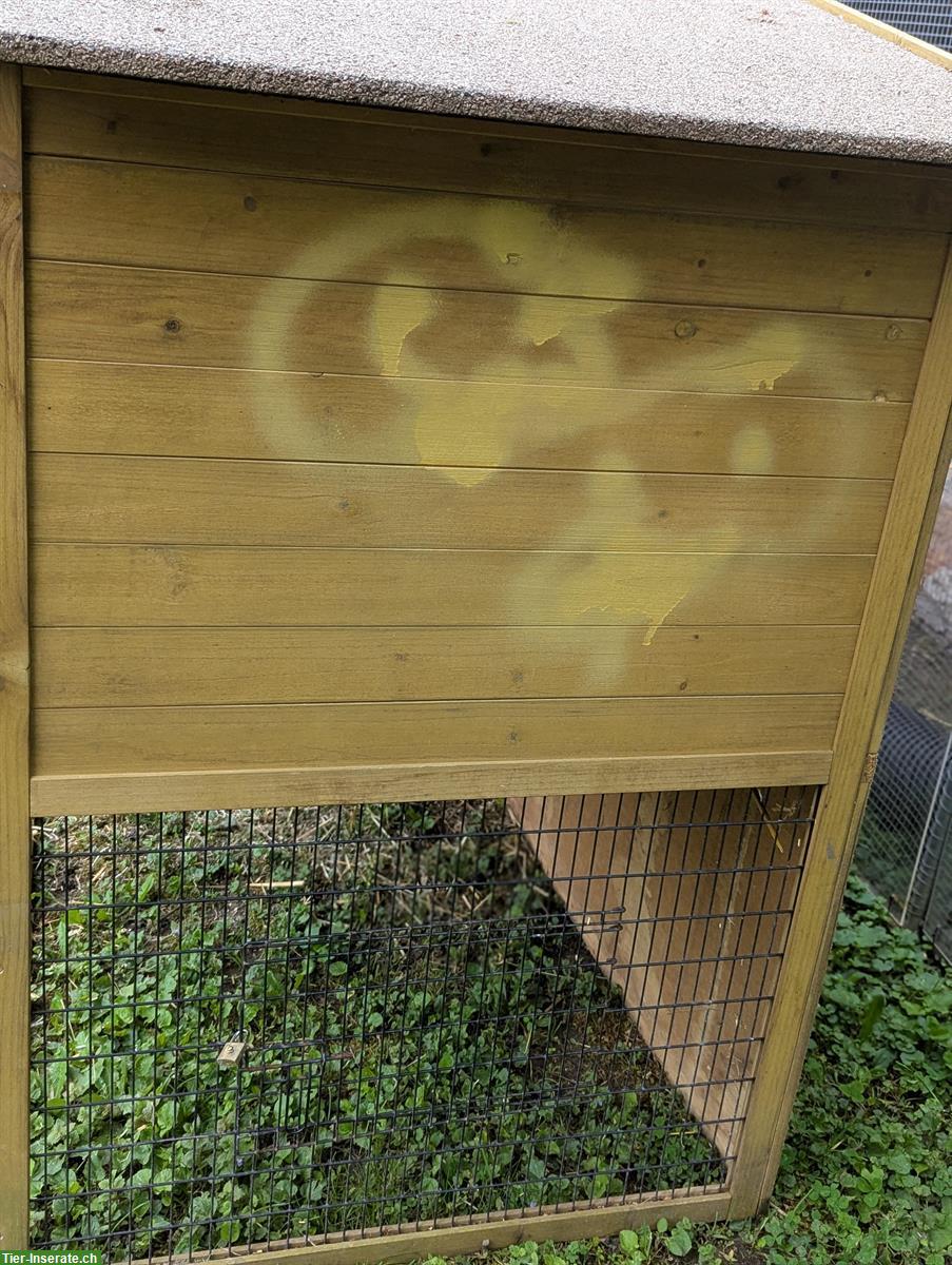 Bild 5: GRATIS: Meerschweinchenstall zu verschenken