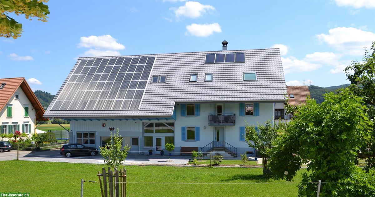 3½ Zimmer EG-Wohnung | Wohnen mit eigenem Pferd