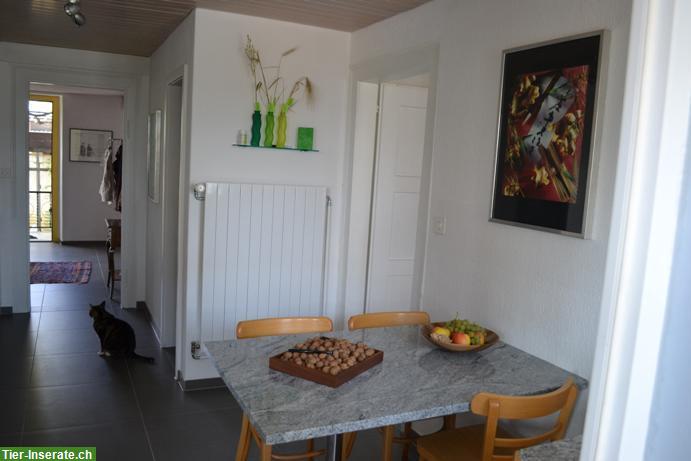 Bild 2: 3½ Zimmer EG-Wohnung | Wohnen mit eigenem Pferd