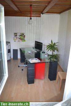 Bild 4: 3½ Zimmer EG-Wohnung | Wohnen mit eigenem Pferd
