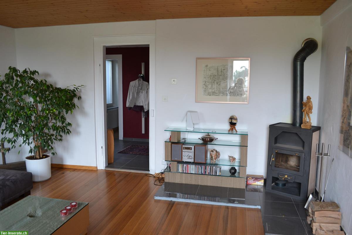 Bild 5: 3½ Zimmer EG-Wohnung | Wohnen mit eigenem Pferd