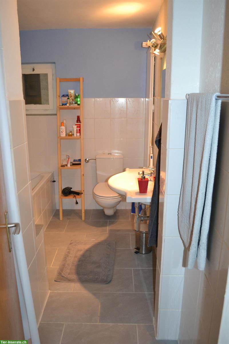 Bild 6: 3½ Zimmer EG-Wohnung | Wohnen mit eigenem Pferd