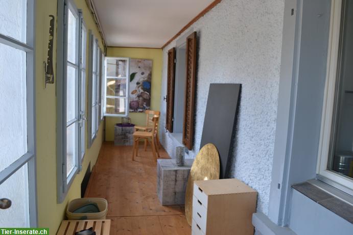 Bild 7: 3½ Zimmer EG-Wohnung | Wohnen mit eigenem Pferd