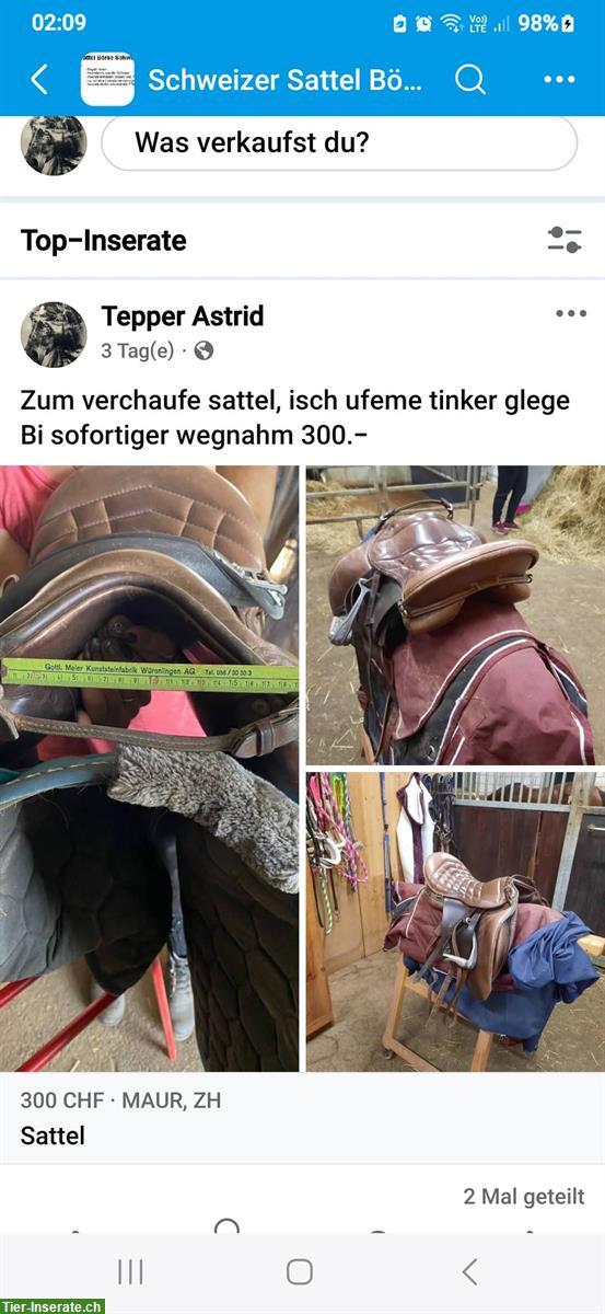 Massimo Sattel zu verkaufen