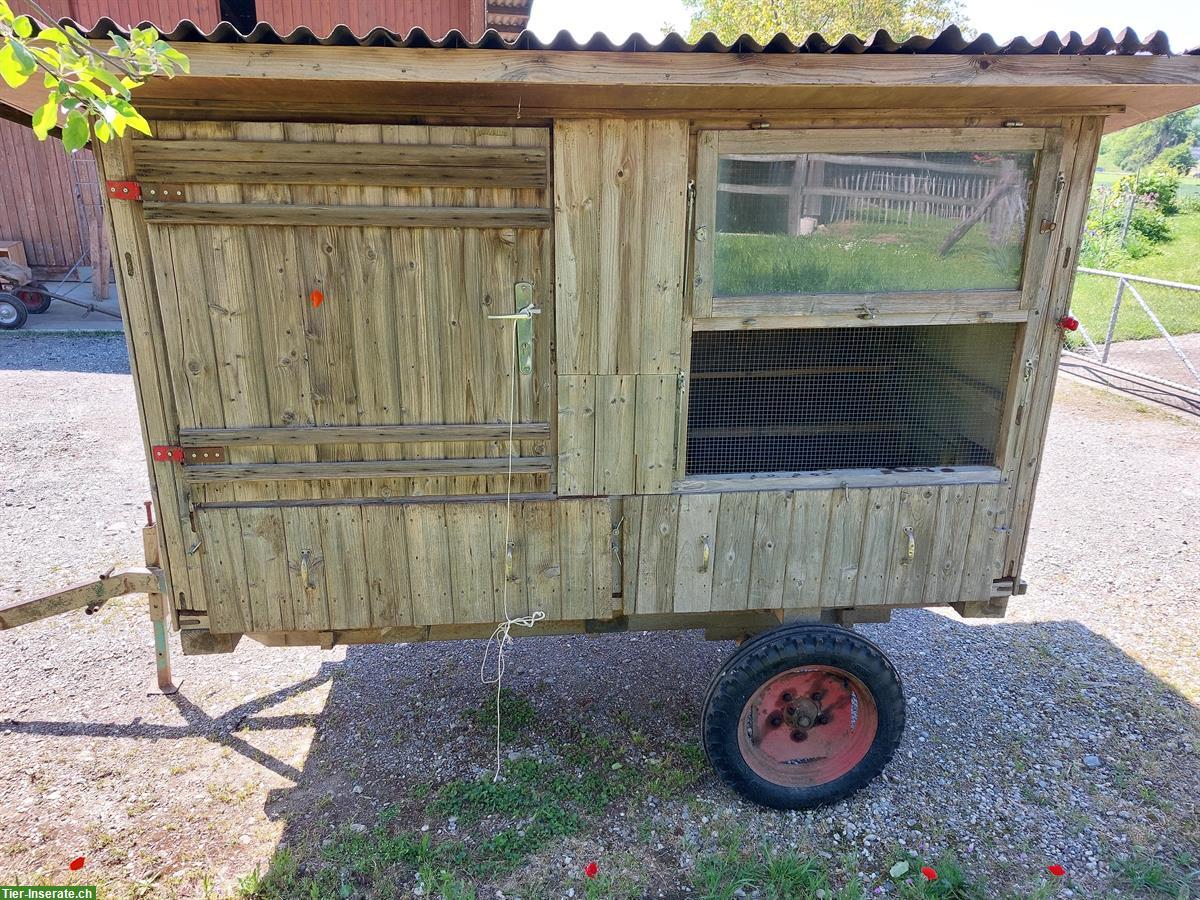 Mobiler Hühnerwagen/-Stall zu verkaufen