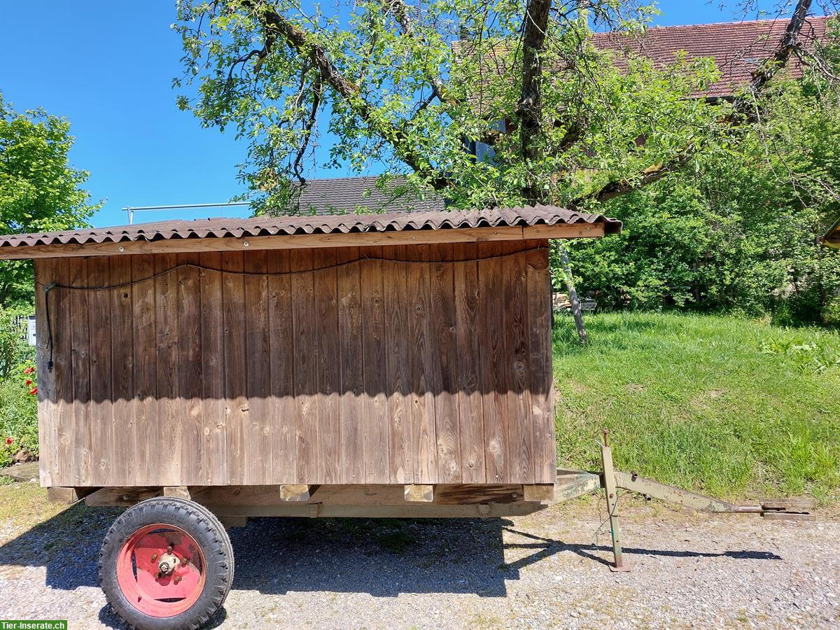 Bild 2: Mobiler Hühnerwagen/-Stall zu verkaufen