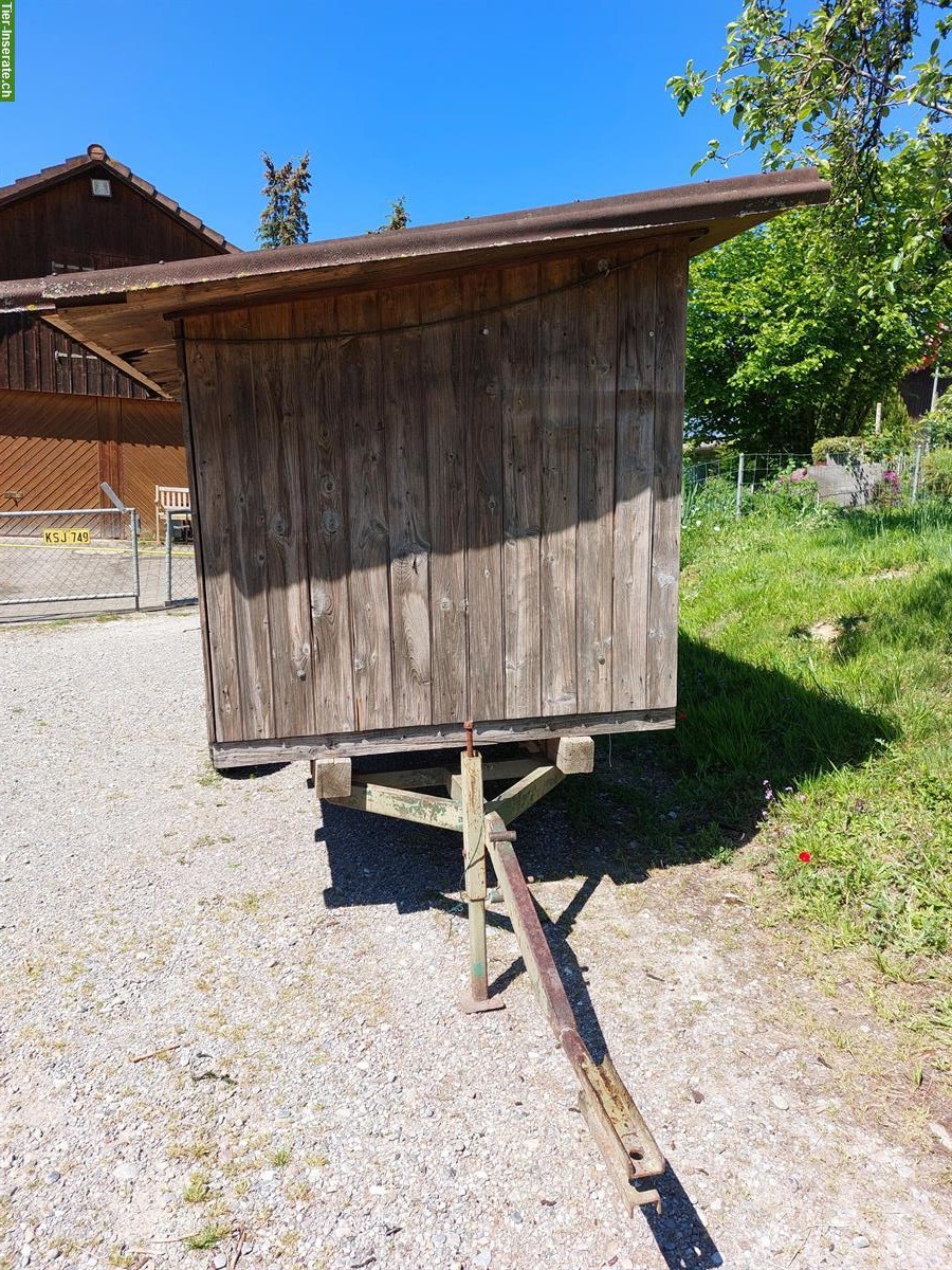 Bild 3: Mobiler Hühnerwagen/-Stall zu verkaufen