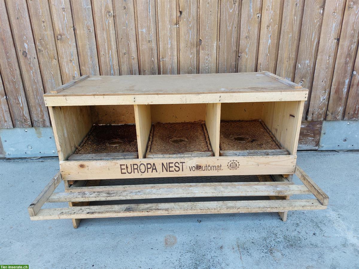 Bild 5: Mobiler Hühnerwagen/-Stall zu verkaufen