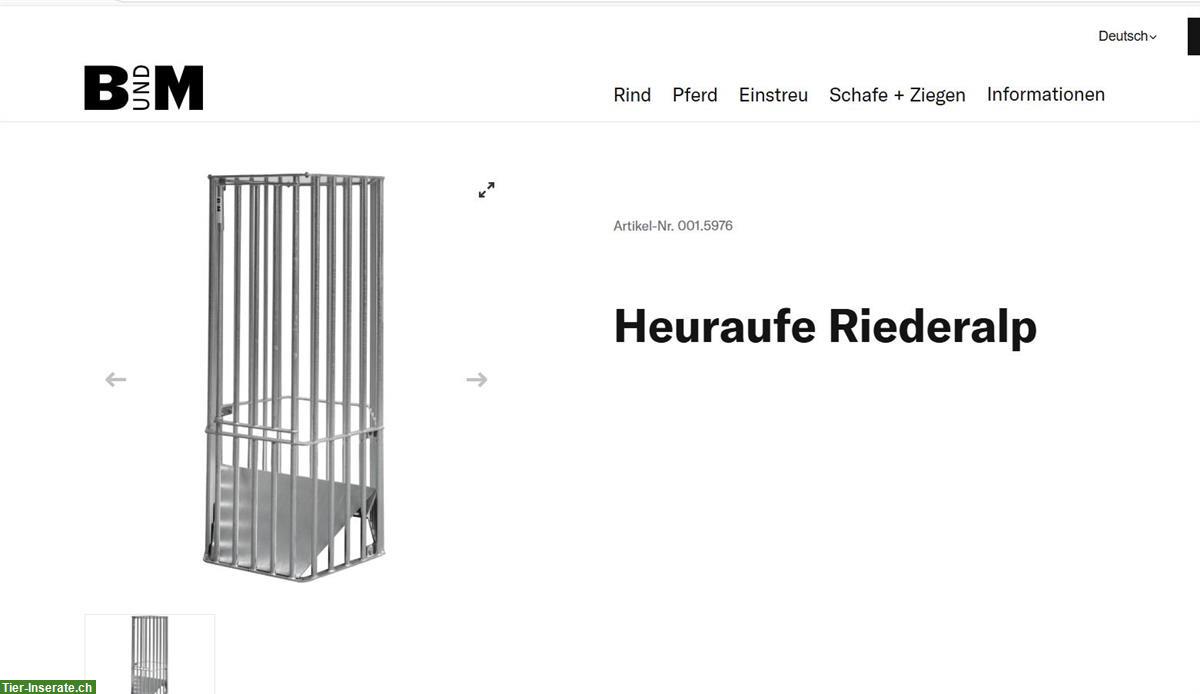Bild 2: Pferde Heuraufe Riederalp von B und M