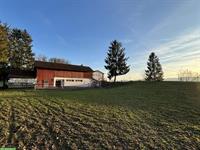 Vermieten Offenstall/Aktivlaufstall an Selbstversorger, Mellingen AG