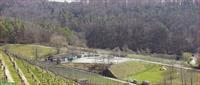 2 Offenstallplätze per sofort frei in Birmenstorf AG