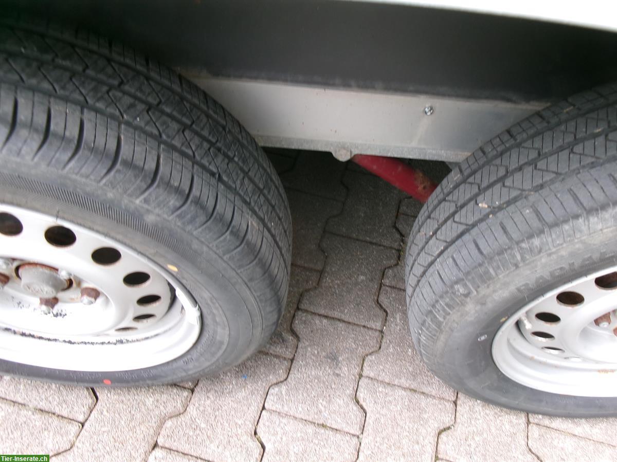 Bild 8: 1,5er Pferdeanhänger Blomert, neu ab MFK