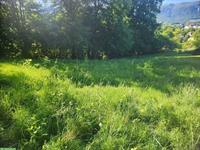 GRATIS: Wiese zur Verfügung, ideal für Schafe