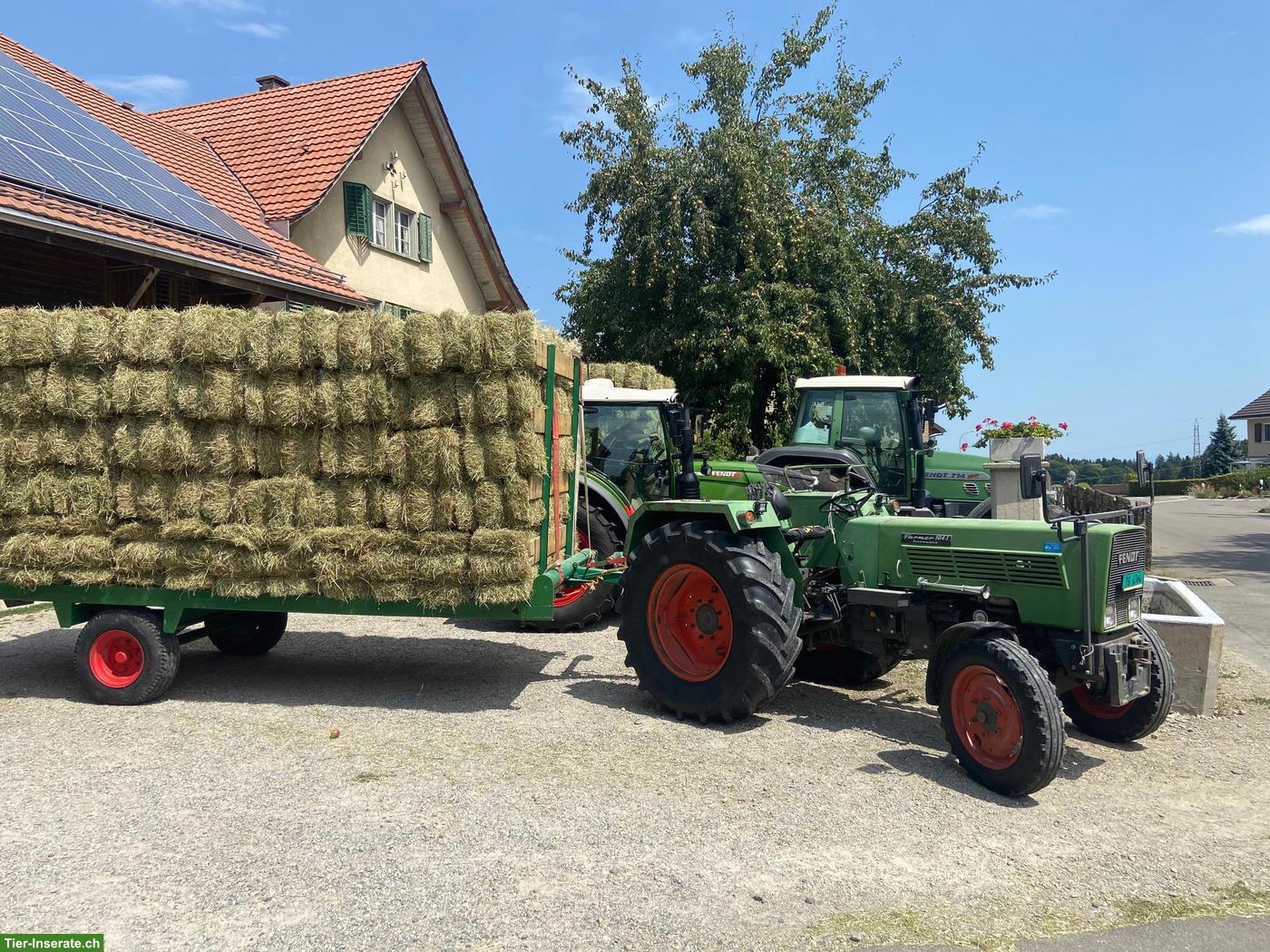 Heu in Kleinballen in TOP Qualität zu verkaufen