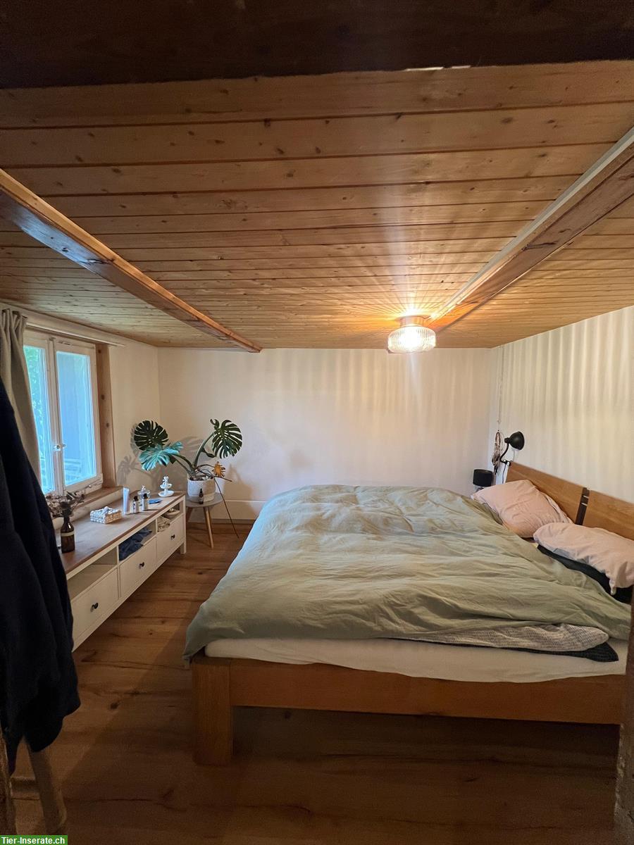 Bild 7: Vermieten Wohnung mit Charme in altem Bauernhaus