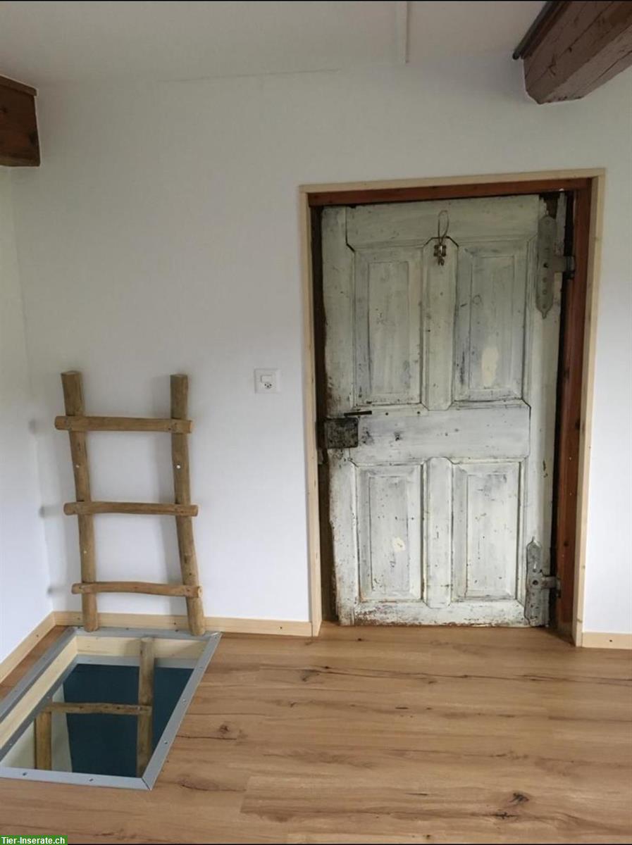 Bild 8: Vermieten Wohnung mit Charme in altem Bauernhaus