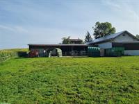 Bieten Platz in Freilaufstall in Jonschwil SG