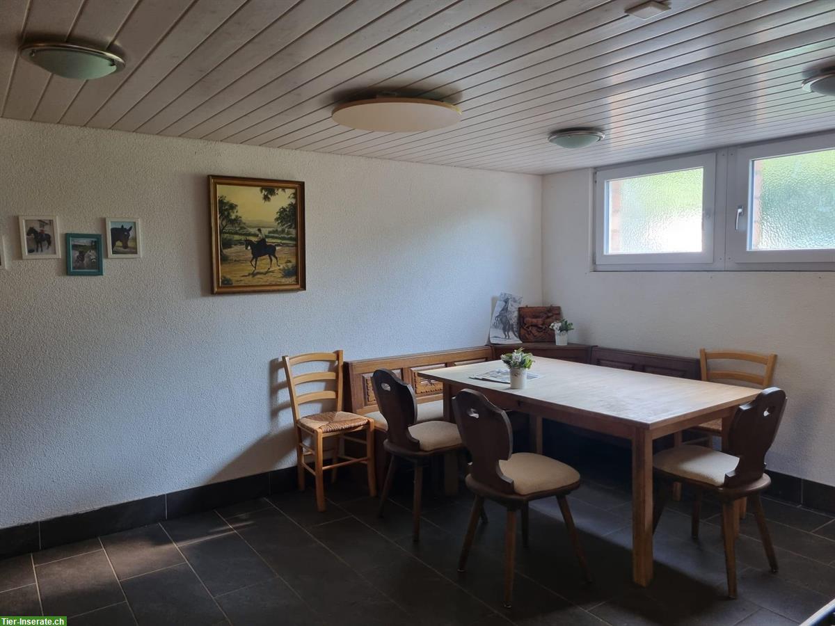 Bild 7: Bieten Platz in Freilaufstall in Jonschwil SG
