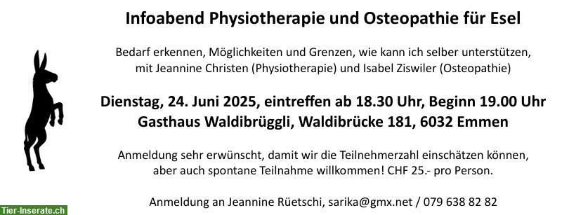 Infoabend Physiotherapie und Osteopathie für Esel