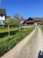 2-3 Plätze frei für alle Pferderassen und Reitstile, Rifferswil ZH