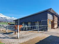 Zwei Auslaufboxen frei in Grabs SG
