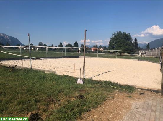 Bild 6: Zwei Auslaufboxen frei in Grabs SG