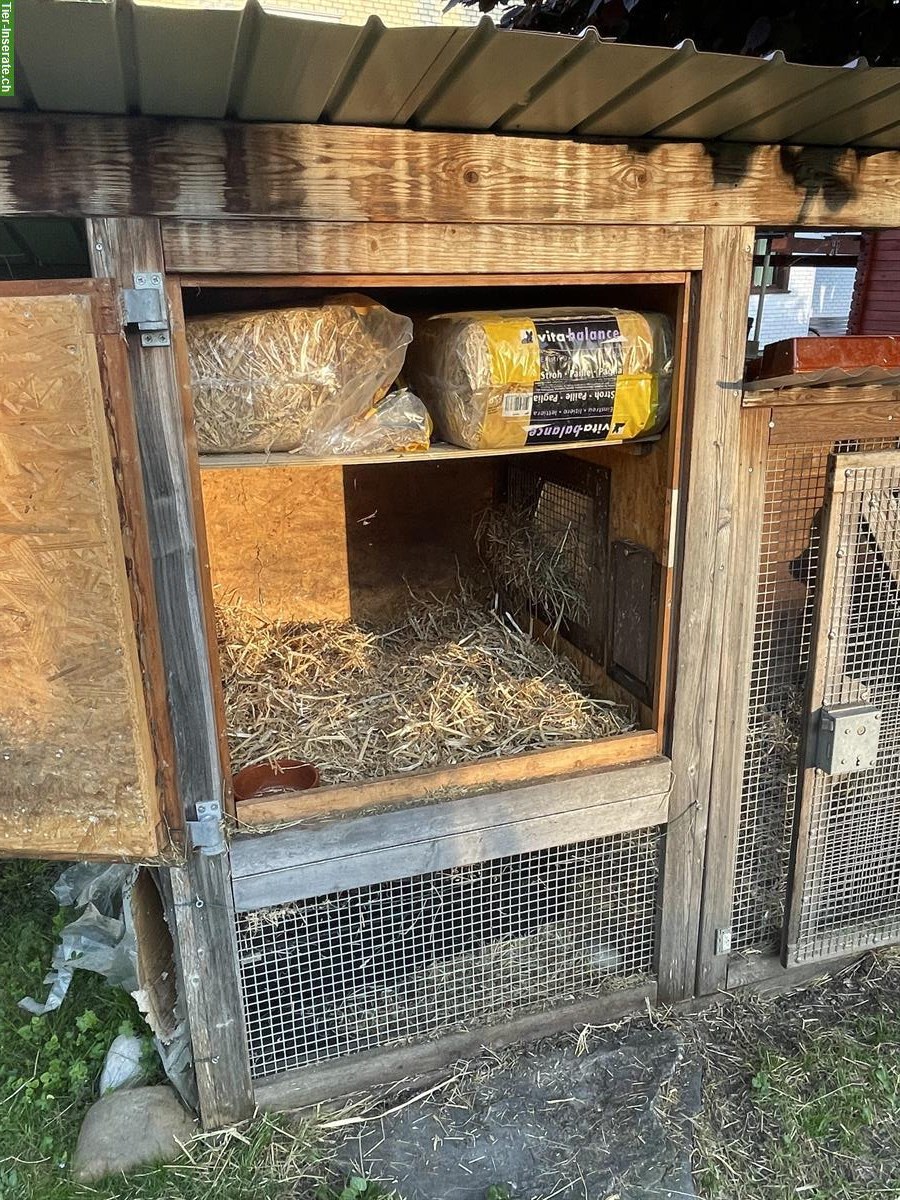 Bild 3: Kleintierstall aus Holz, wetterfest