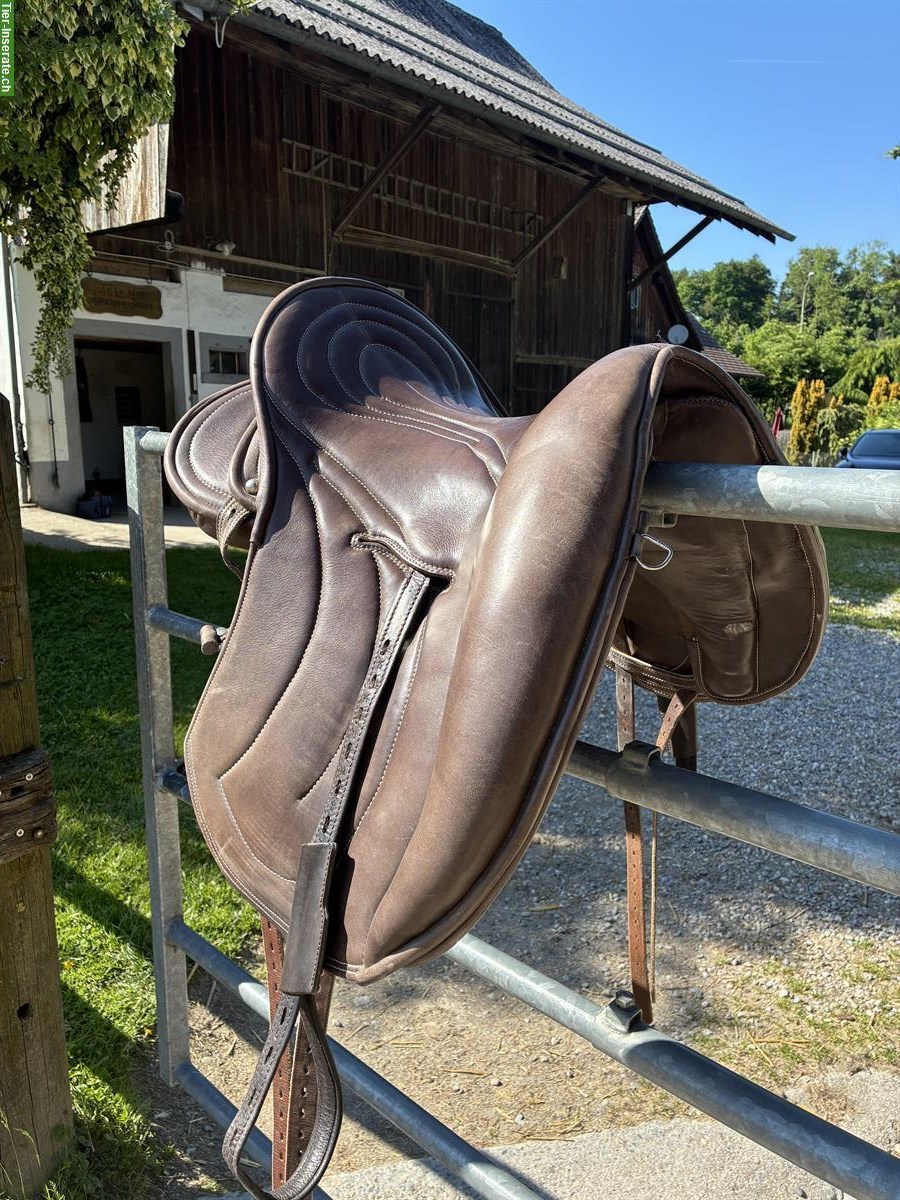 Bild 2: Signum Lotus Sattel zu verkaufen