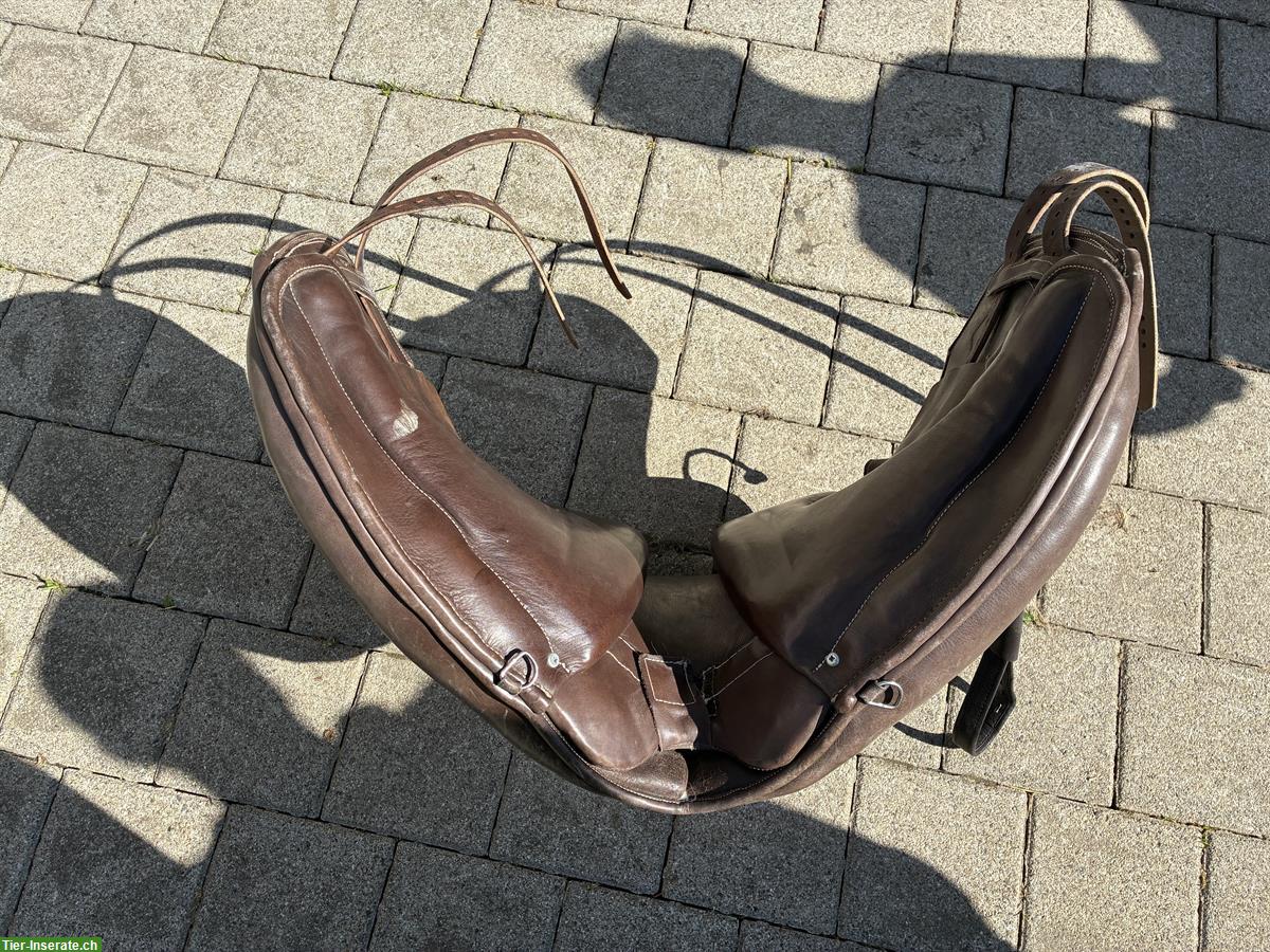 Bild 5: Signum Lotus Sattel zu verkaufen