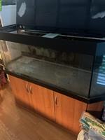 GRATIS: Aquarium 150x50x50cm mit Möbel ca. 350 Liter