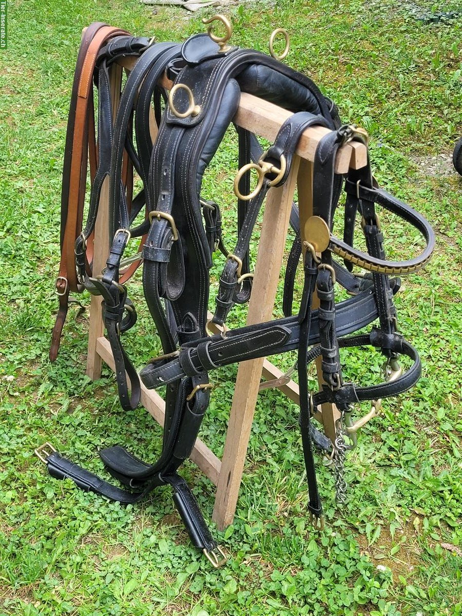 Bild 4: Occasion Kühnle Gig für Stockmass 100-110cm